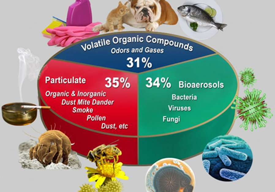 Indoor Air Quality