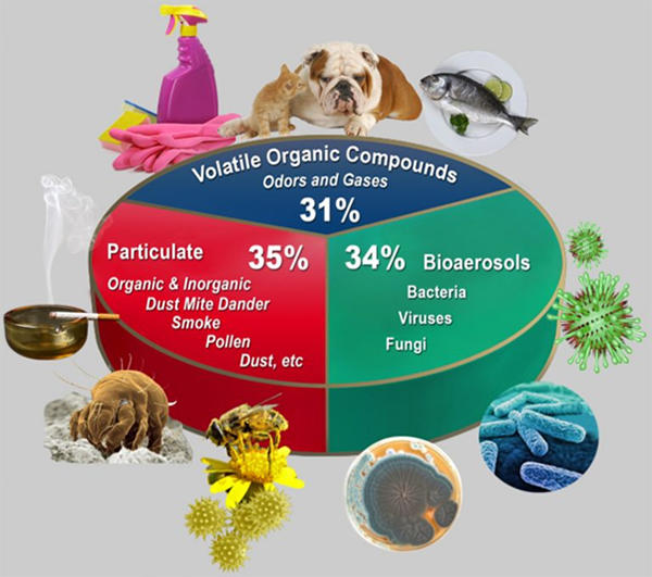 Air Quality Factors