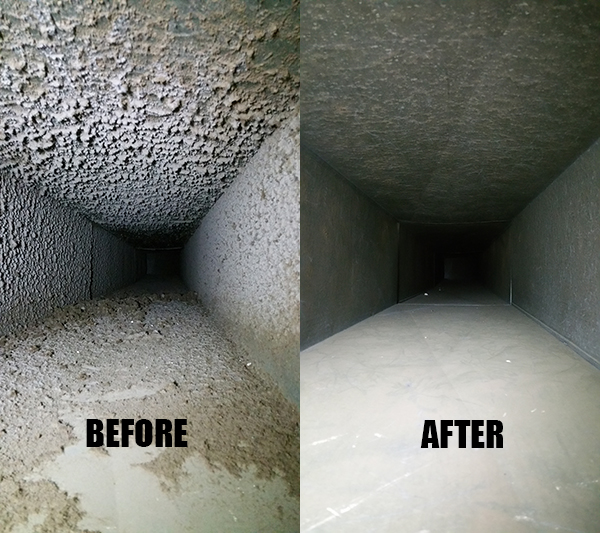 Thorough Cleaning and Sanitation Duct Cleaning